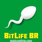 BitLife BR